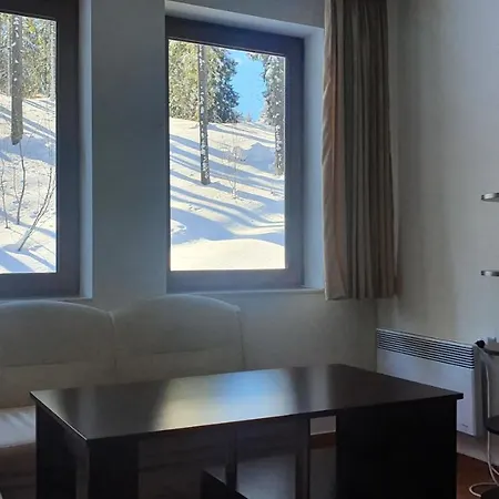 Apartment палас -pamporovo Palace Pamporovo